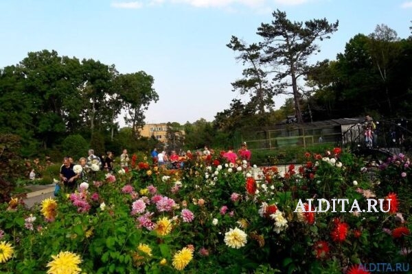 Ботанический сад Владивосток